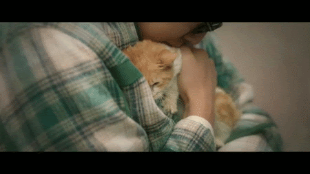 MMH208J.gif