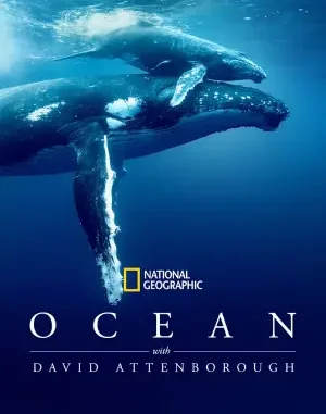 Ocean-with-David-Attenborough.webp.webp